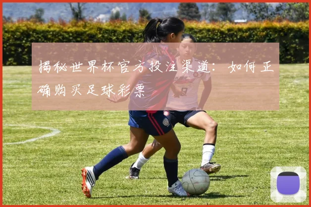 揭秘世界杯官方投注渠道：如何正确购买足球彩票