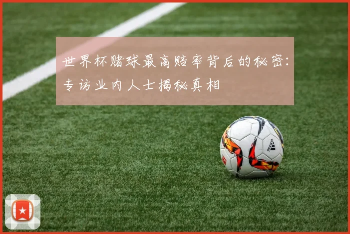世界杯赌球最高赔率背后的秘密：专访业内人士揭秘真相
