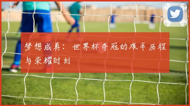 梦想成真：世界杯夺冠的艰辛历程与荣耀时刻