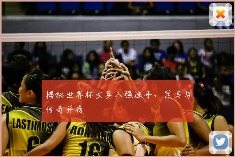 揭秘世界杯女乒八强选手，黑马与传奇并存