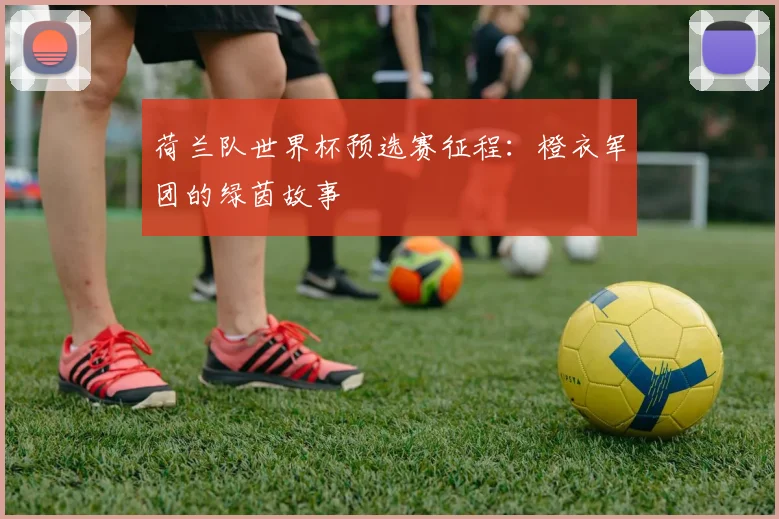 荷兰队世界杯预选赛征程：橙衣军团的绿茵故事