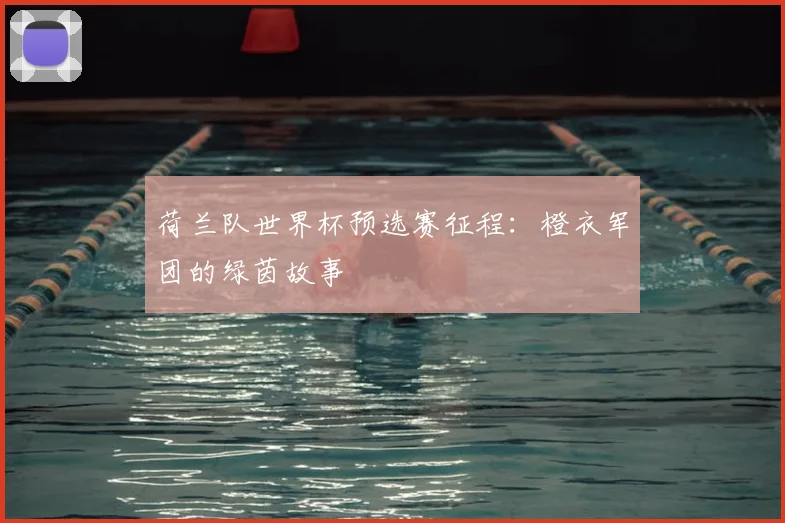 荷兰队世界杯预选赛征程：橙衣军团的绿茵故事
