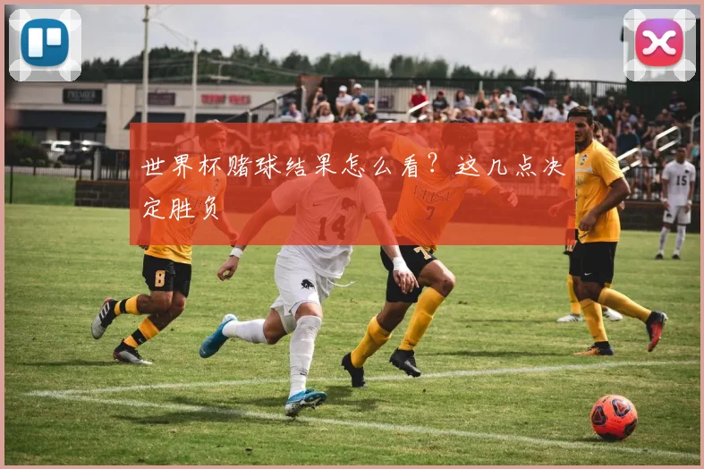 世界杯赌球结果怎么看？这几点决定胜负