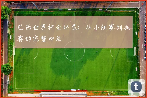 巴西世界杯全纪录：从小组赛到决赛的完整回放