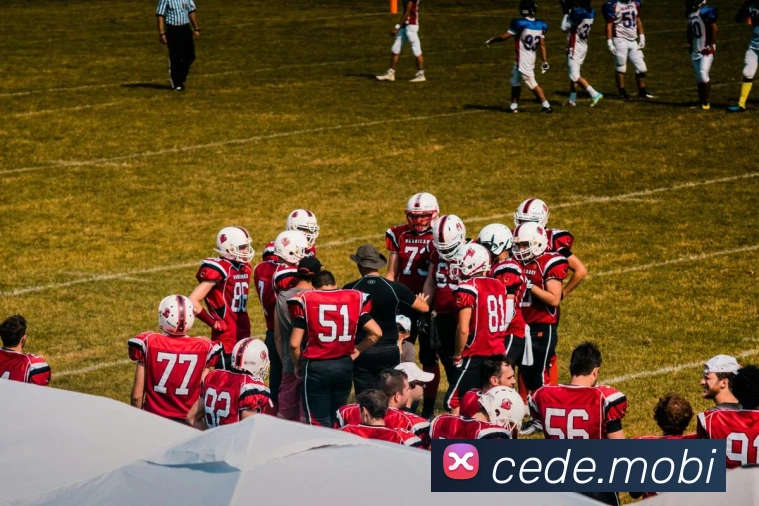 多媒体互动体验